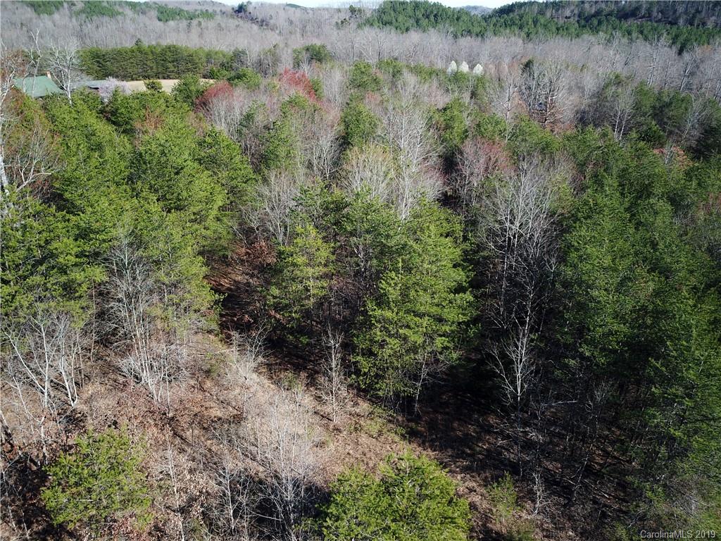 39 Zachary Lane, Unit 39 Rutherfordton, NC 28139 - Photo 6 of 6