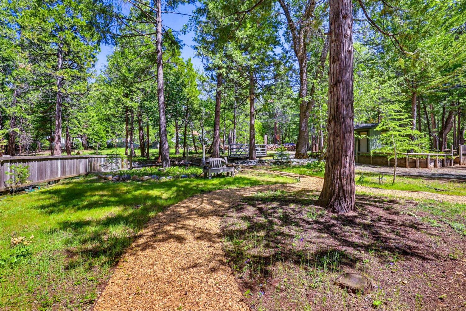 13646 Banner Lava Cap Road Nevada City, CA 95959 - Photo 44 of 70