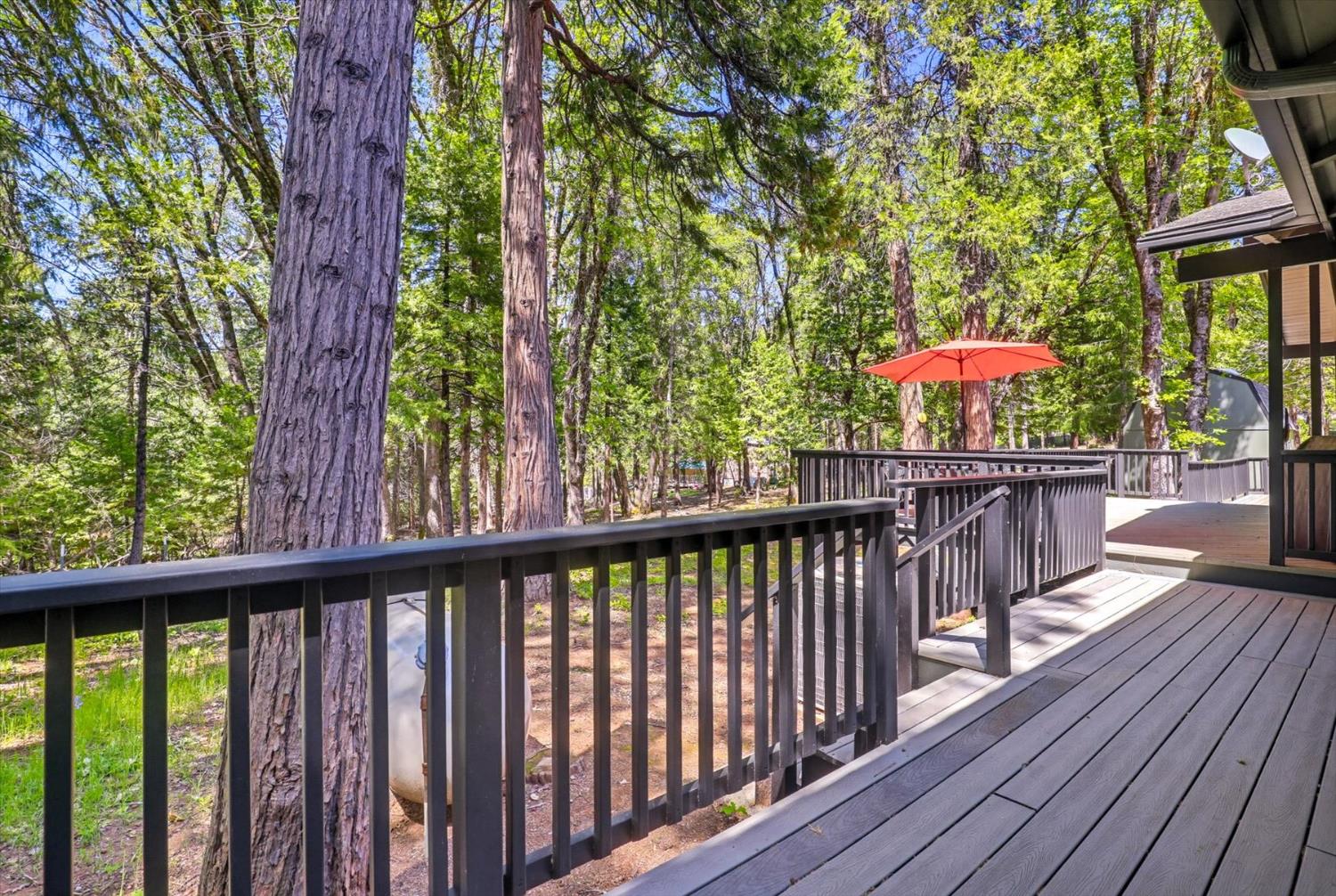 13646 Banner Lava Cap Road Nevada City, CA 95959 - Photo 53 of 70