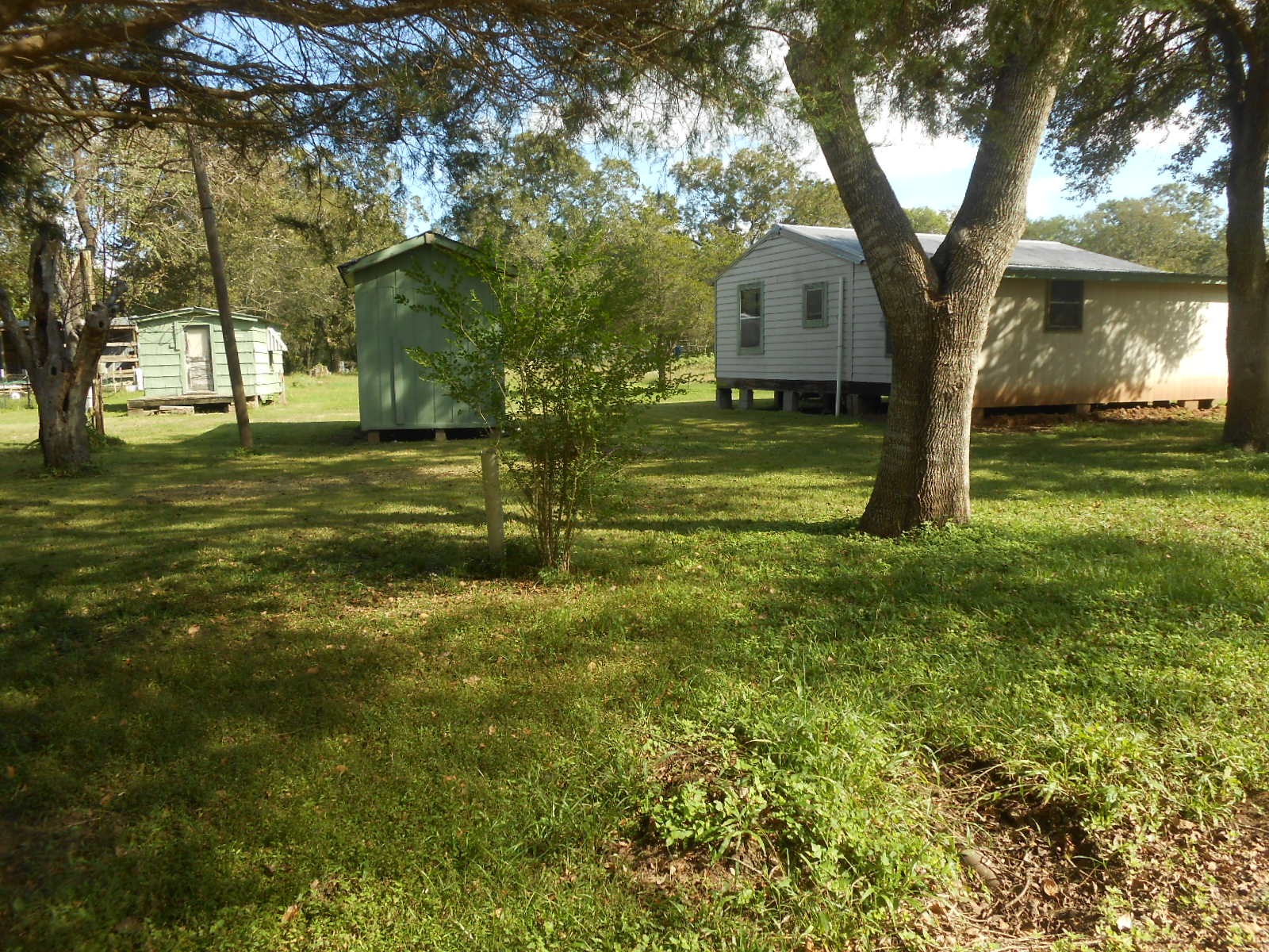 6435 County Road 42 Rosharon, TX 77583 - Photo 2 of 5 a view of a trees in a yard with large trees