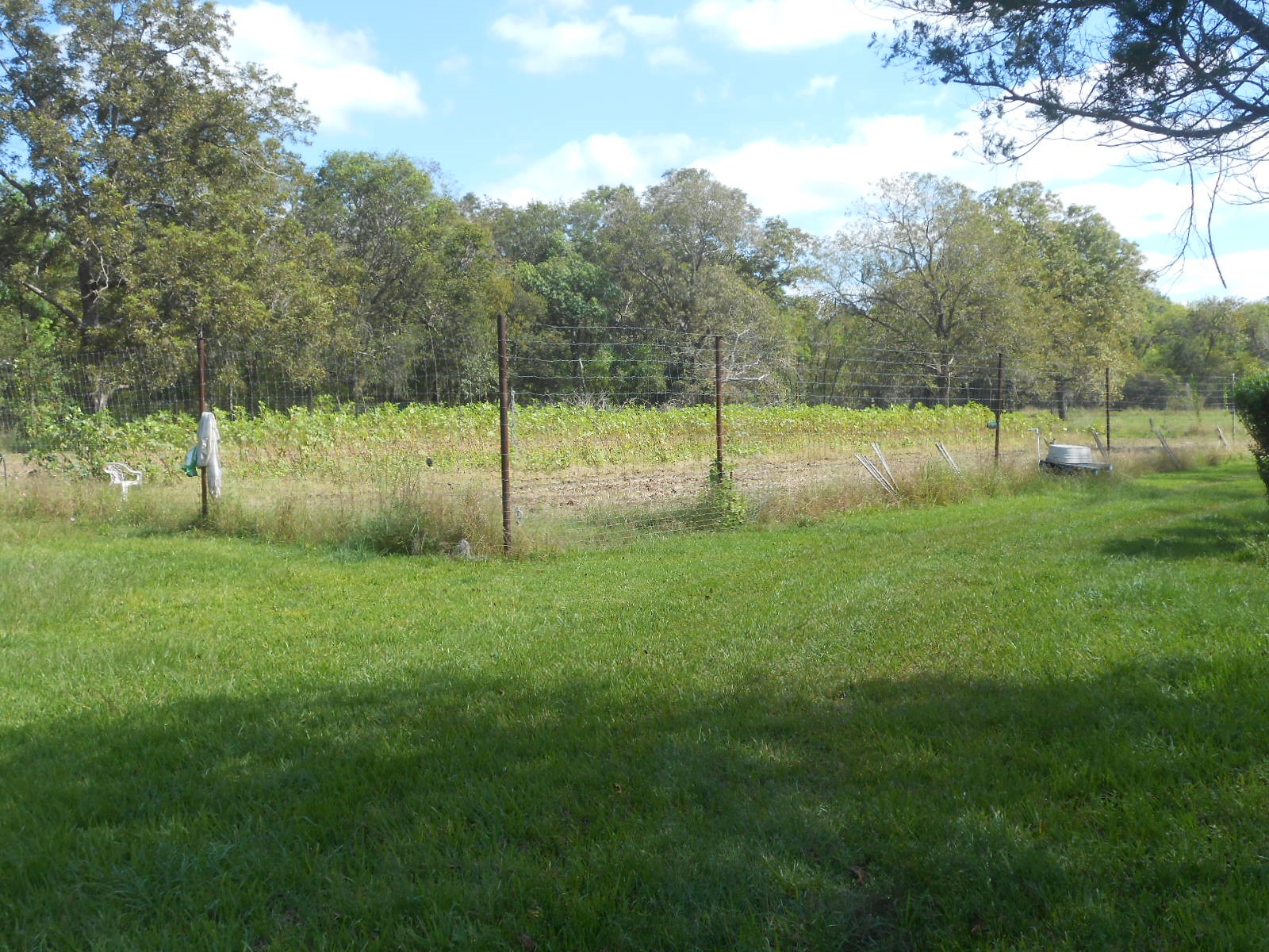 6435 County Road 42 Rosharon, TX 77583 - Photo 5 of 5 a view of a park with a tree