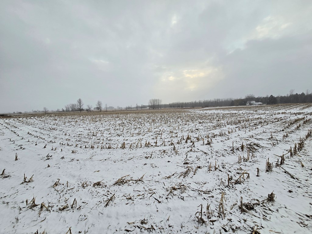 Carnot Road Forestville, WI 54213 - Photo 6 of 7