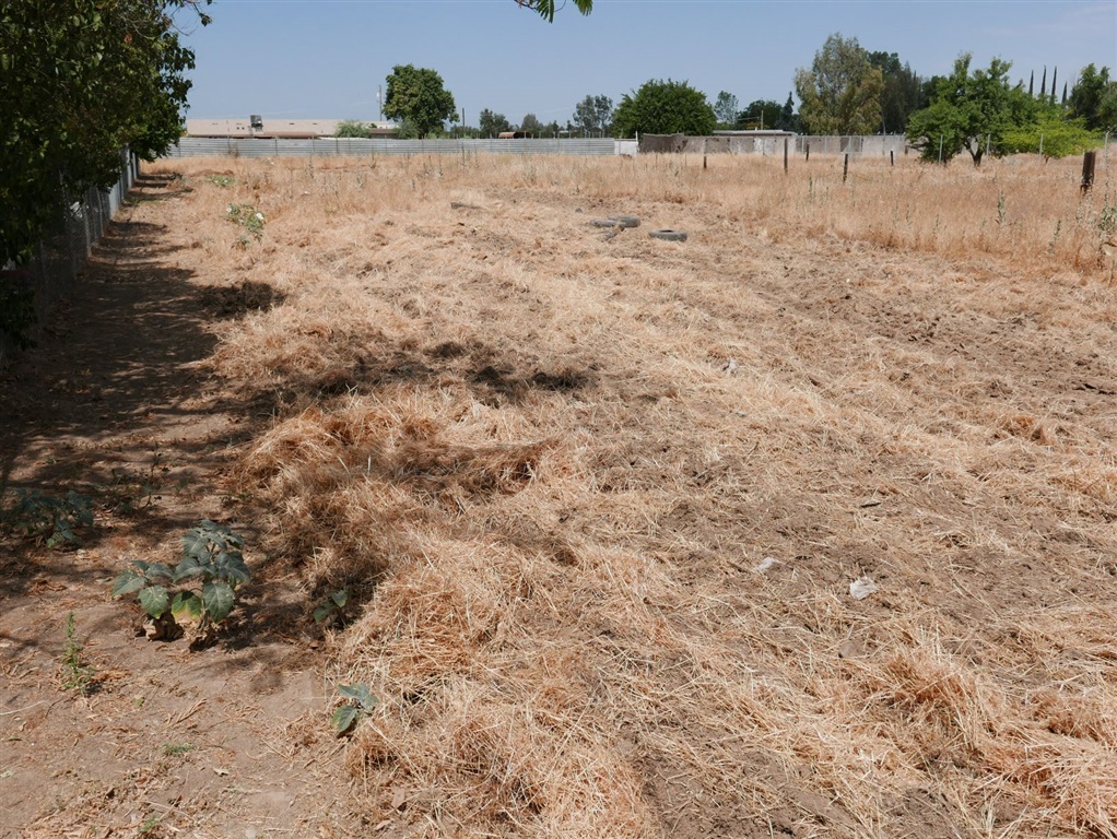 22788 Maple Street Chowchilla, CA 93610 - Photo 2 of 6