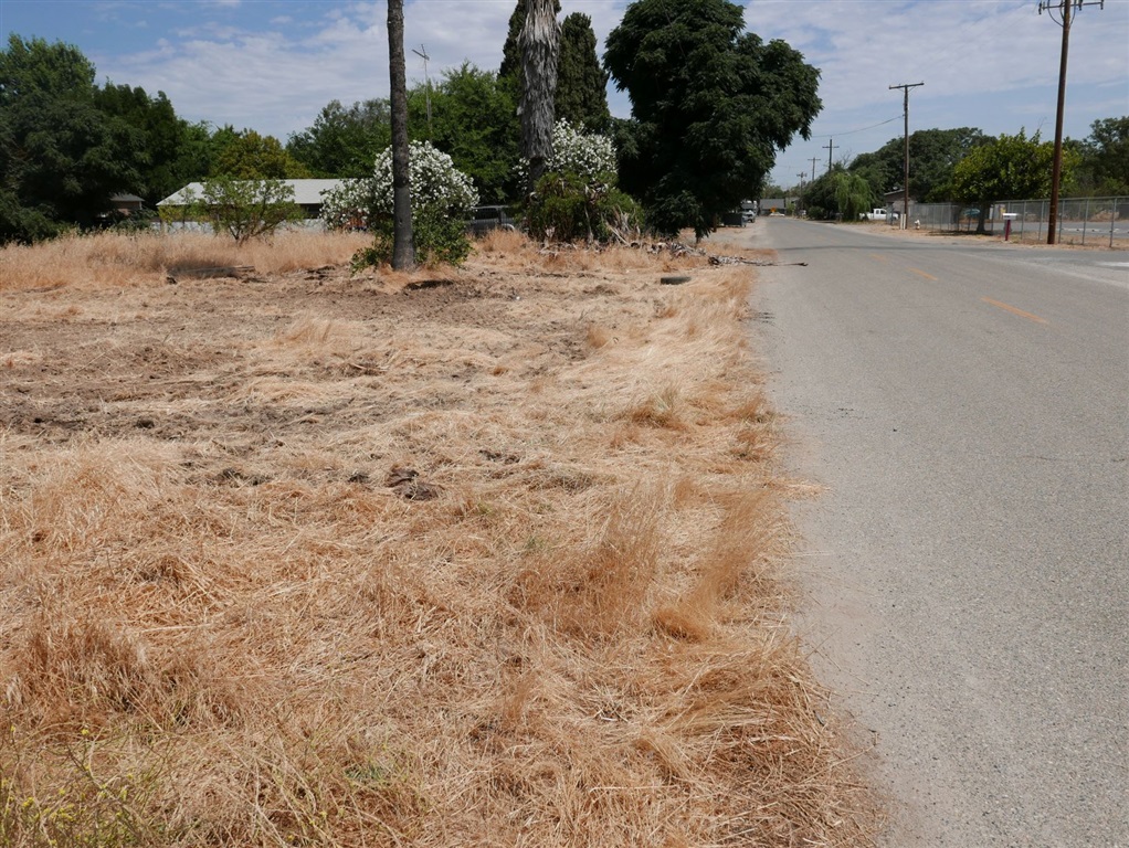 22788 Maple Street Chowchilla, CA 93610 - Photo 4 of 6