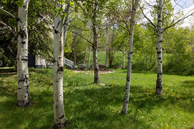 $1,645,000 | 485 Amethyst Drive, Steamboat Springs, CO 80487
