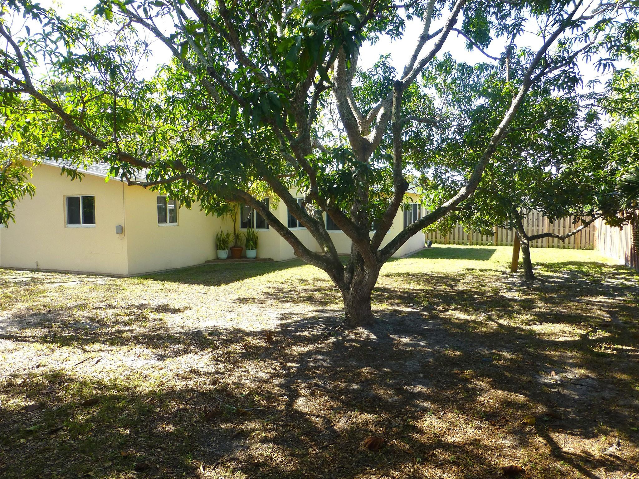 9401 Southwest 53rd Street Cooper City, FL 33328 - Photo 13 of 17 a view of a yard with large tree