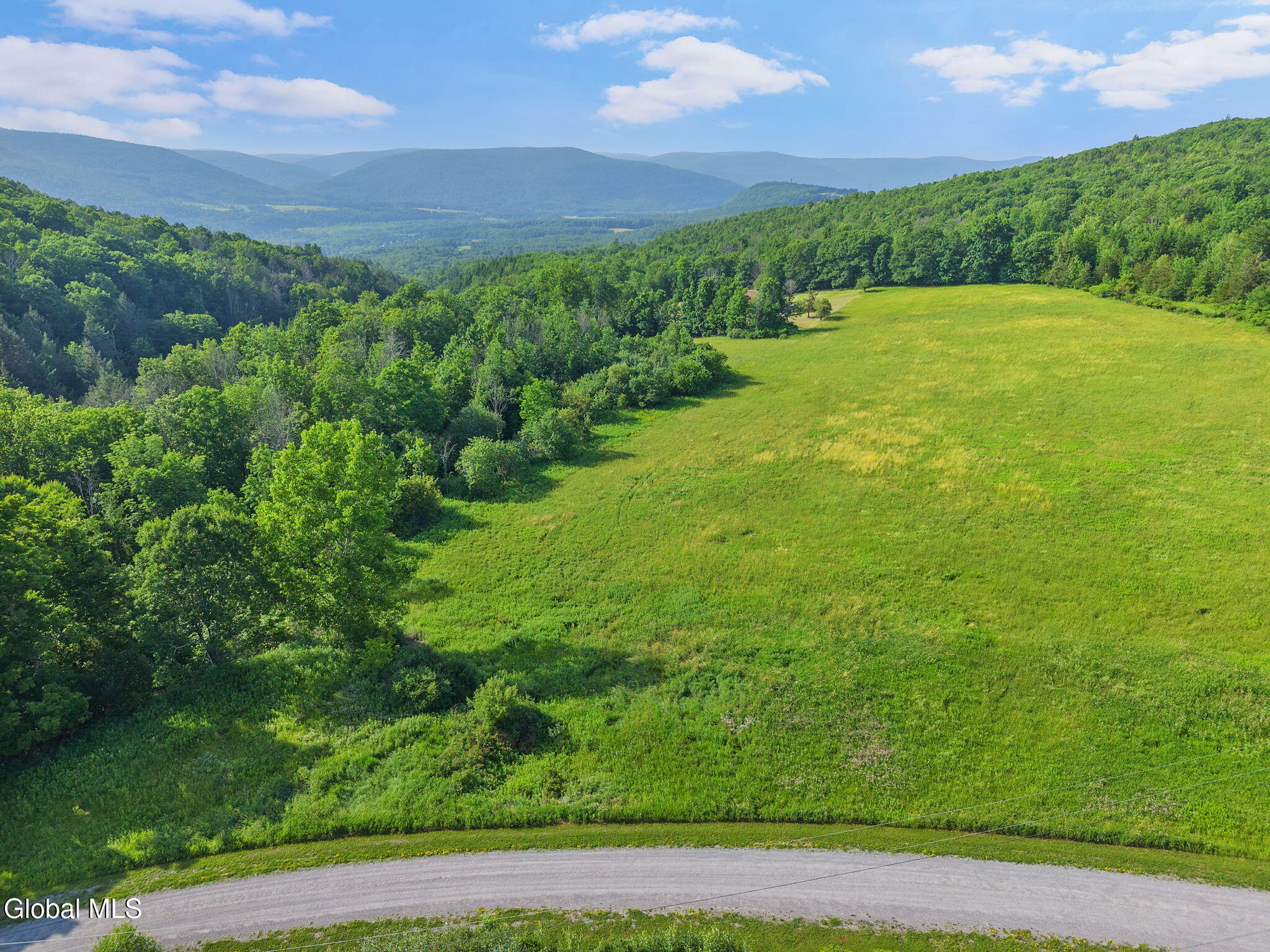 1008 Guinea Road Middleburgh, NY 12122 - Photo 43 of 51 55-1008GuineaRd_55