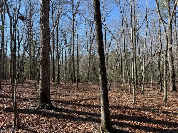 $39,900 | 0 Thayer Road, Troy, NC 27371
