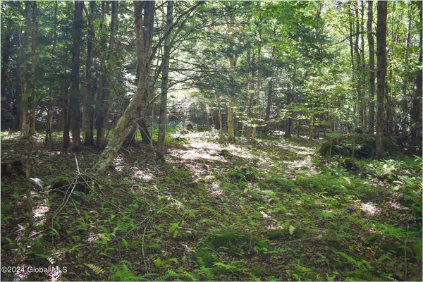 $74,900 | 85 Carriage Knoll Road, Chestertown, NY 12817