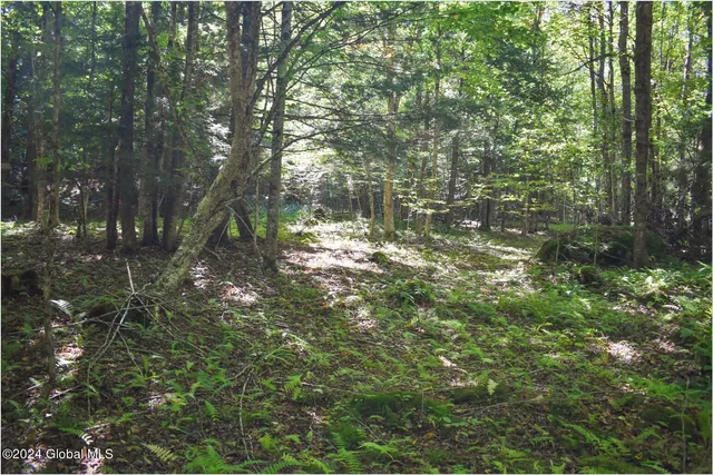 $74,900 | 85 Carriage Knoll Road, Chestertown, NY 12817