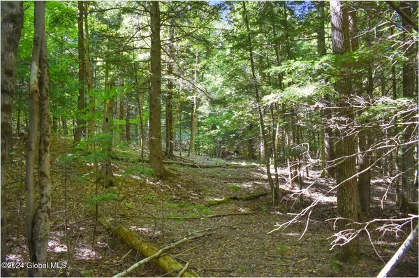 $74,900 | 85 Carriage Knoll Road, Chestertown, NY 12817