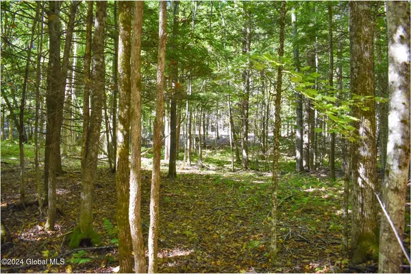$74,900 | 85 Carriage Knoll Road, Chestertown, NY 12817
