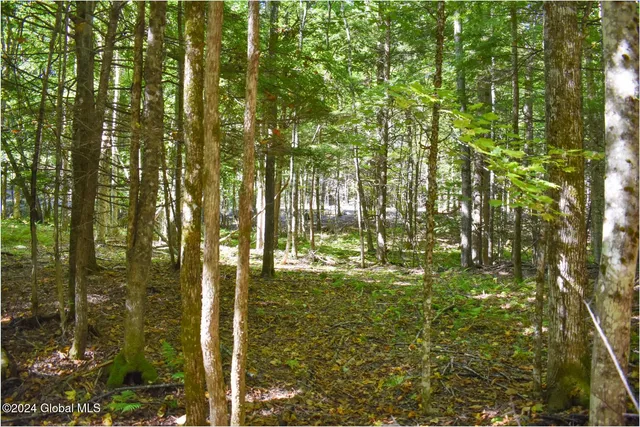 $74,900 | 85 Carriage Knoll Road, Chestertown, NY 12817