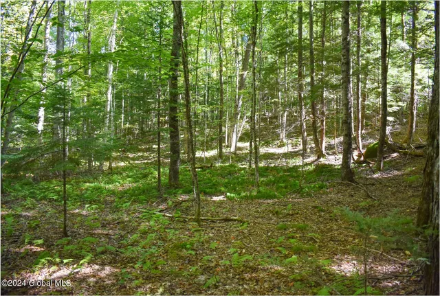 $74,900 | 85 Carriage Knoll Road, Chestertown, NY 12817