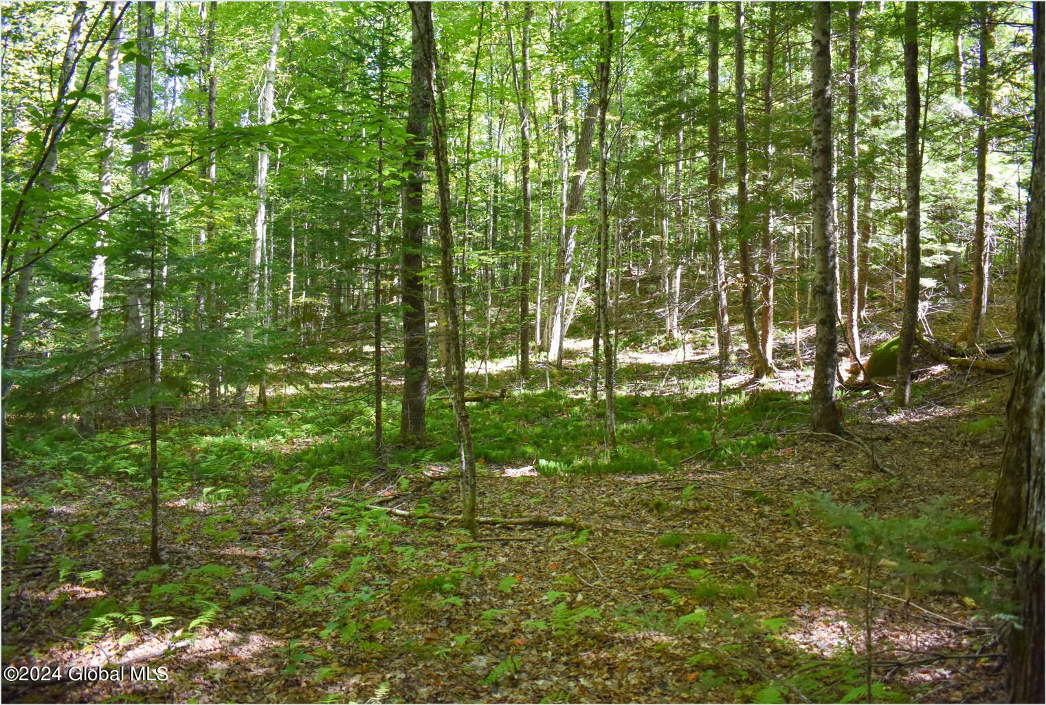 85 Carriage Knoll Road Chestertown, NY 12817 - Photo 7 of 19 85f