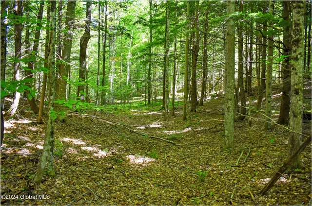 $74,900 | 85 Carriage Knoll Road, Chestertown, NY 12817