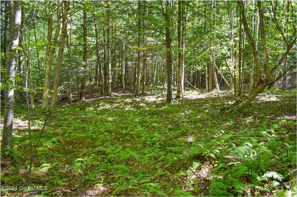 $74,900 | 85 Carriage Knoll Road, Chestertown, NY 12817