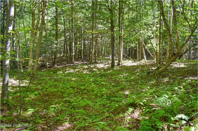 $74,900 | 85 Carriage Knoll Road, Chestertown, NY 12817