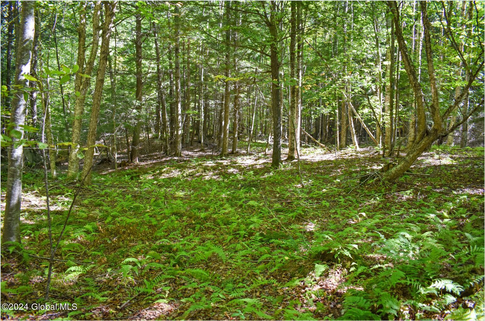 85 Carriage Knoll Road Chestertown, NY 12817 - Photo 9 of 19 85a