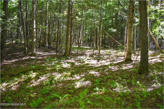 $74,900 | 85 Carriage Knoll Road, Chestertown, NY 12817