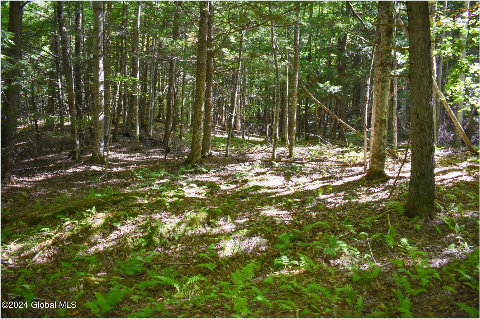 85 Carriage Knoll Road Chestertown, NY 12817 - Photo 10 of 19 85c