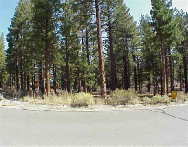 Lot 3 Joy Lake Road Reno, NV 89511 - Photo 1 of 1 Gallery Image 1