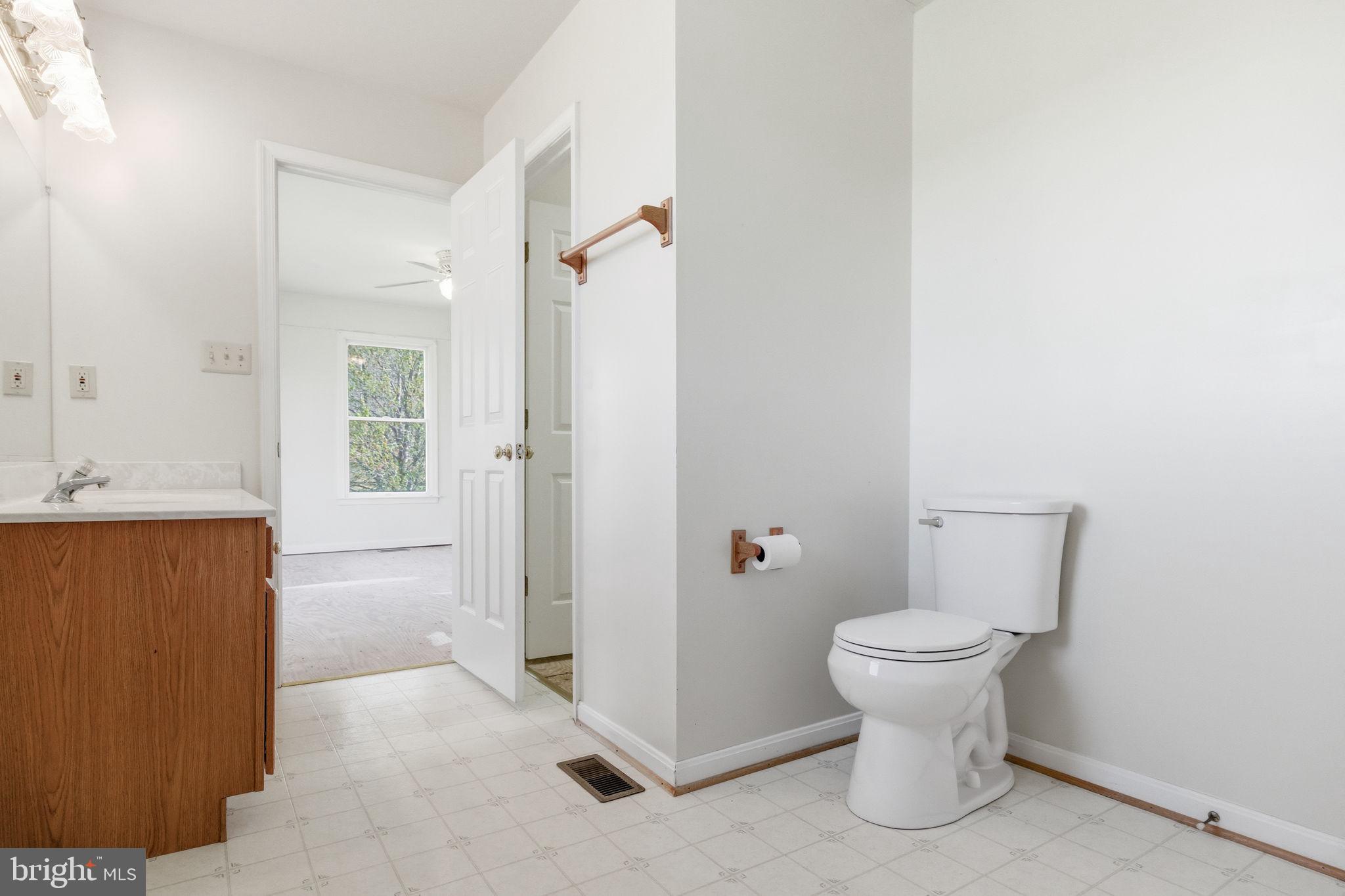 4004 Indian Run Road Amissville, VA 20106 - Photo 14 of 52 Primary En-Suite Bath