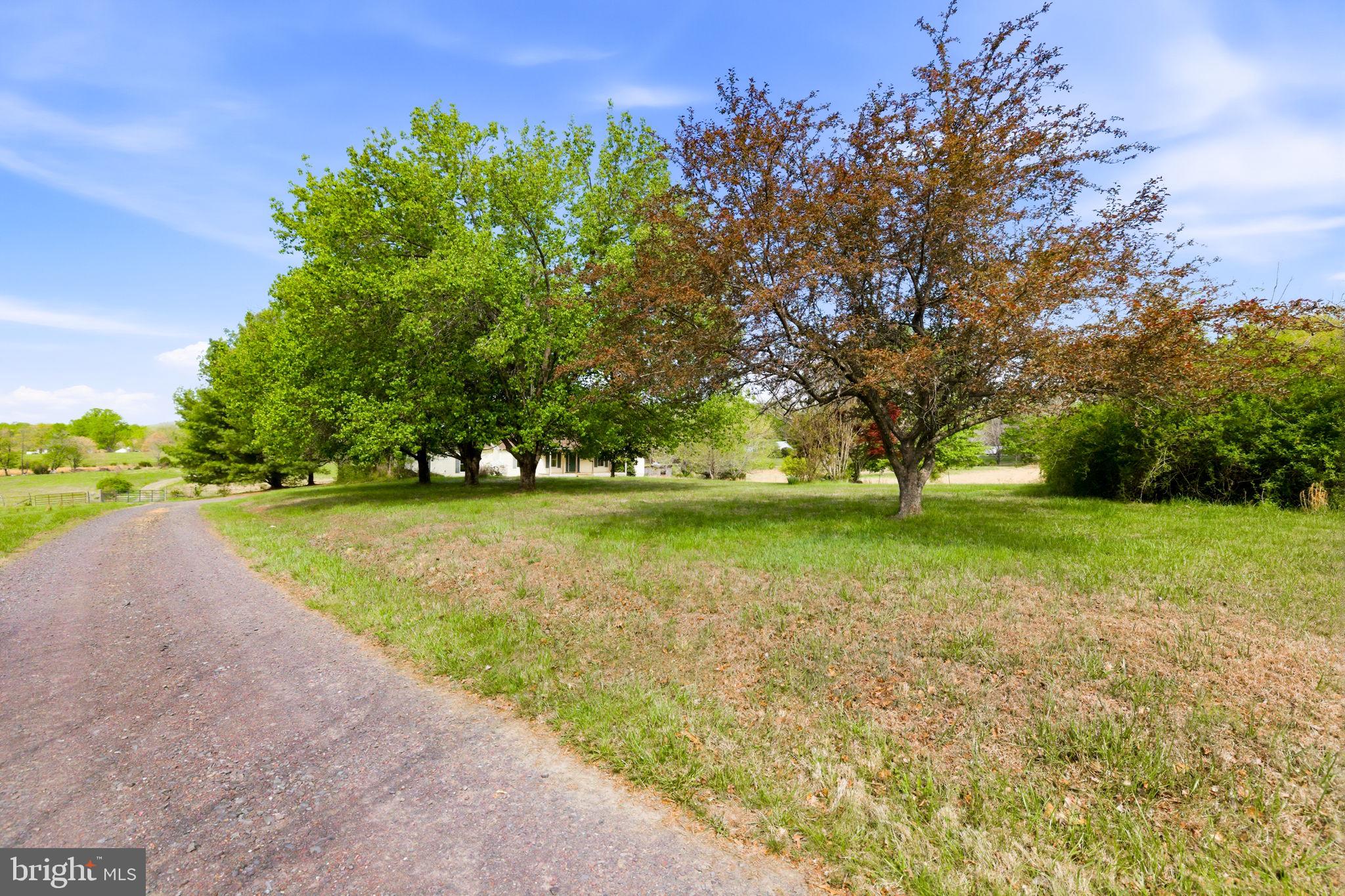 4004 Indian Run Road Amissville, VA 20106 - Photo 46 of 52