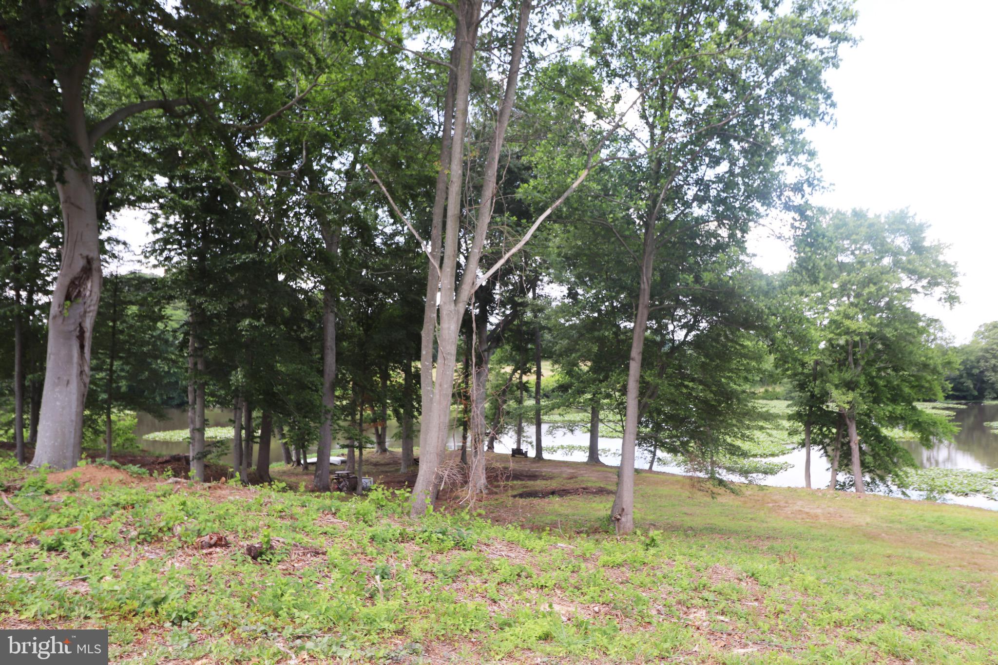 1481 Bunker Hill Road Middletown, DE 19709 - Photo 11 of 25 a backyard of a house with swimming pool and large trees