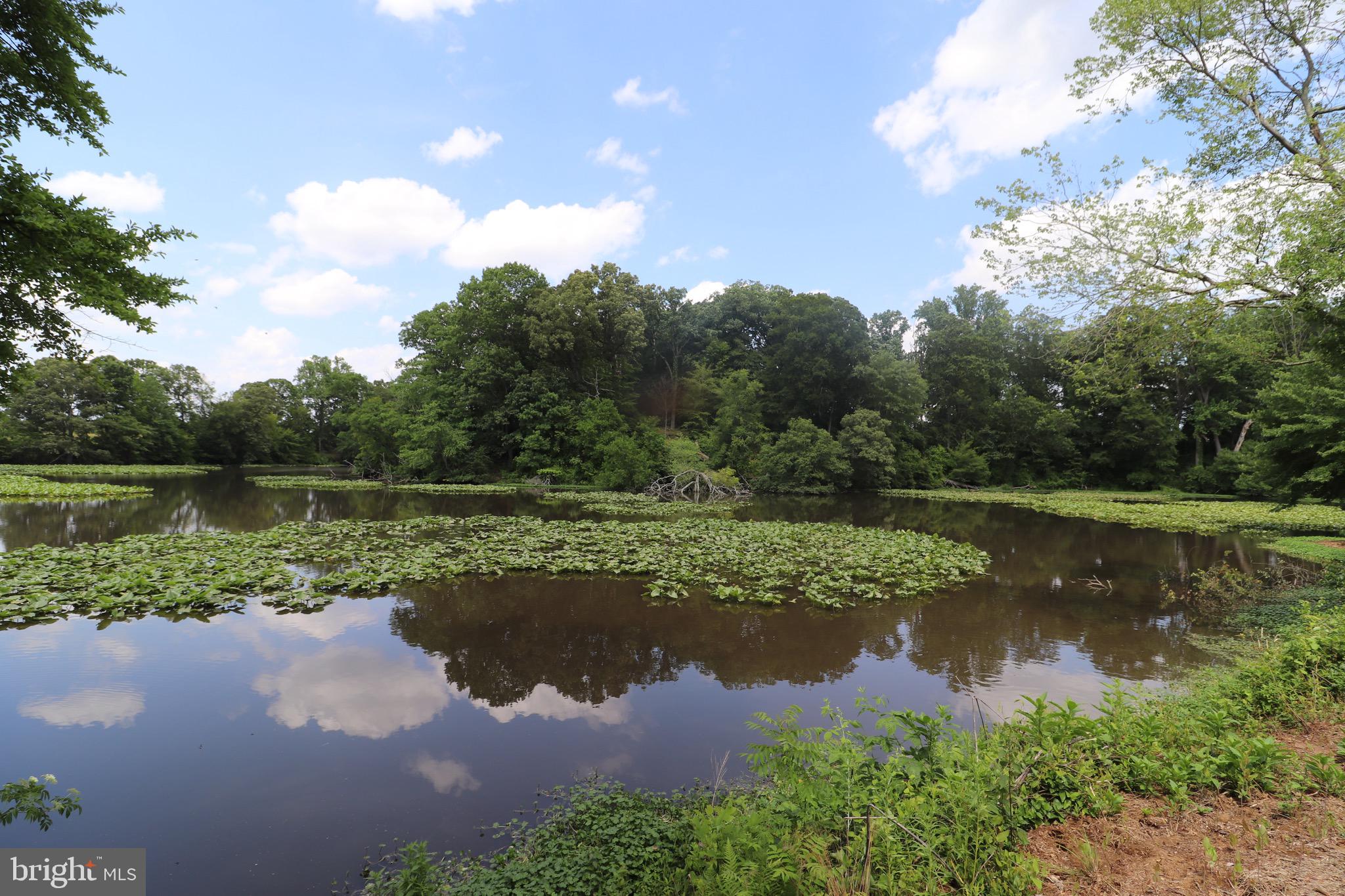 1481 Bunker Hill Road Middletown, DE 19709 - Photo 12 of 25 a view of a lake with a yard and large trees
