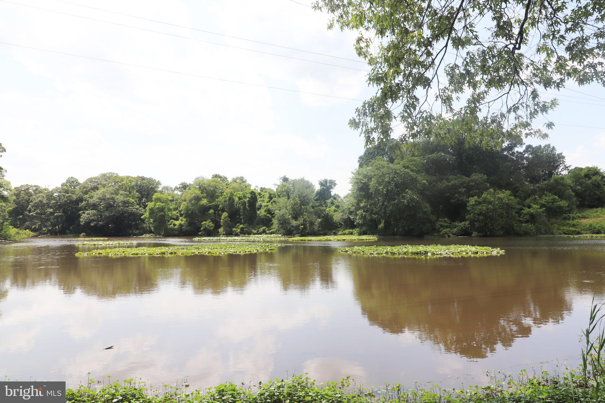 1481 Bunker Hill Road Middletown, DE 19709 - Photo 17 of 25 a view of a lake with houses in the back
