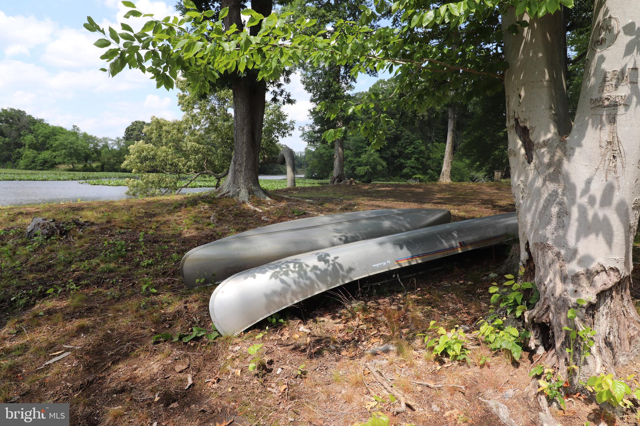 1481 Bunker Hill Road Middletown, DE 19709 - Photo 18 of 25 a view of a backyard with large trees