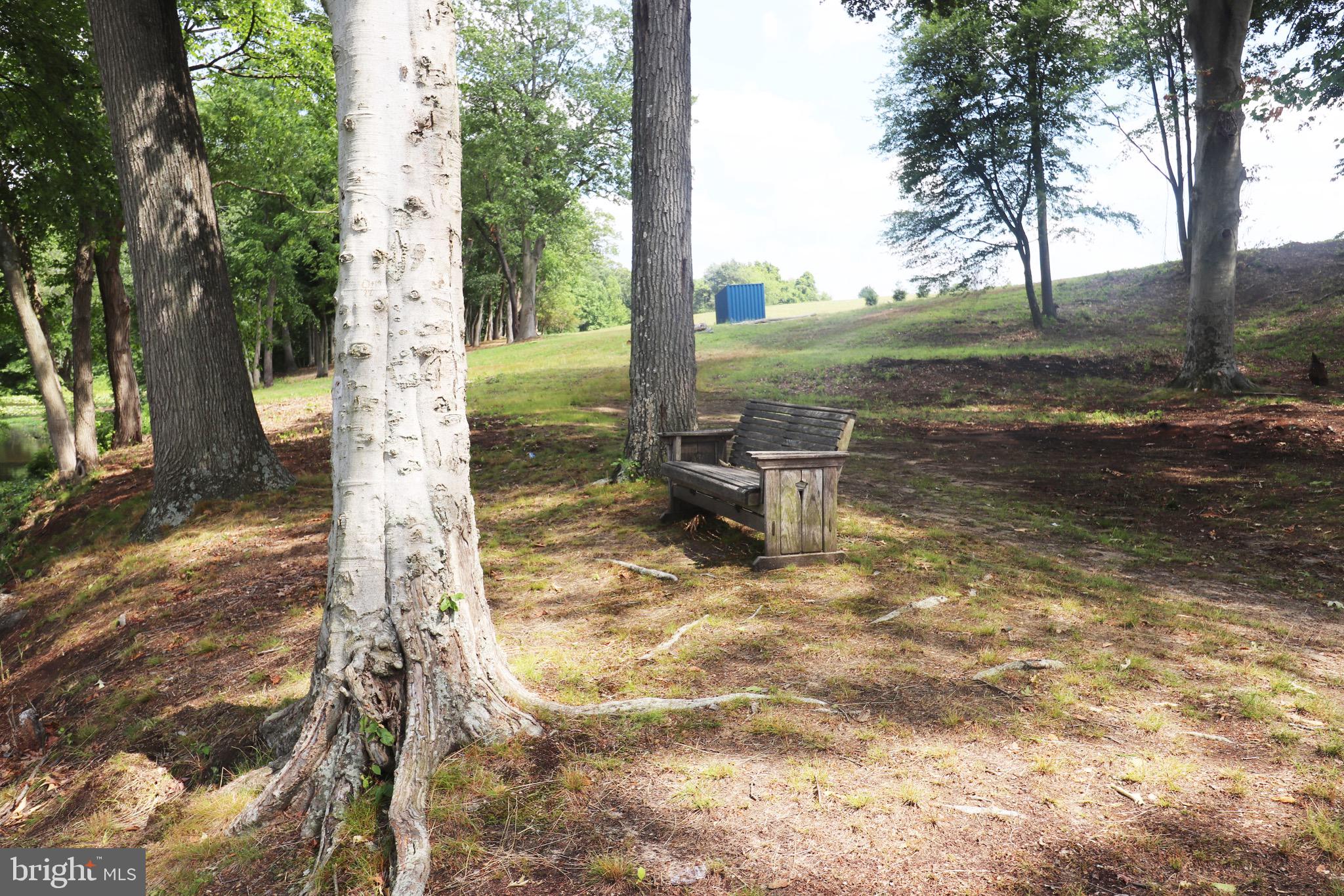 1481 Bunker Hill Road Middletown, DE 19709 - Photo 21 of 25 a view of a yard with plants and trees