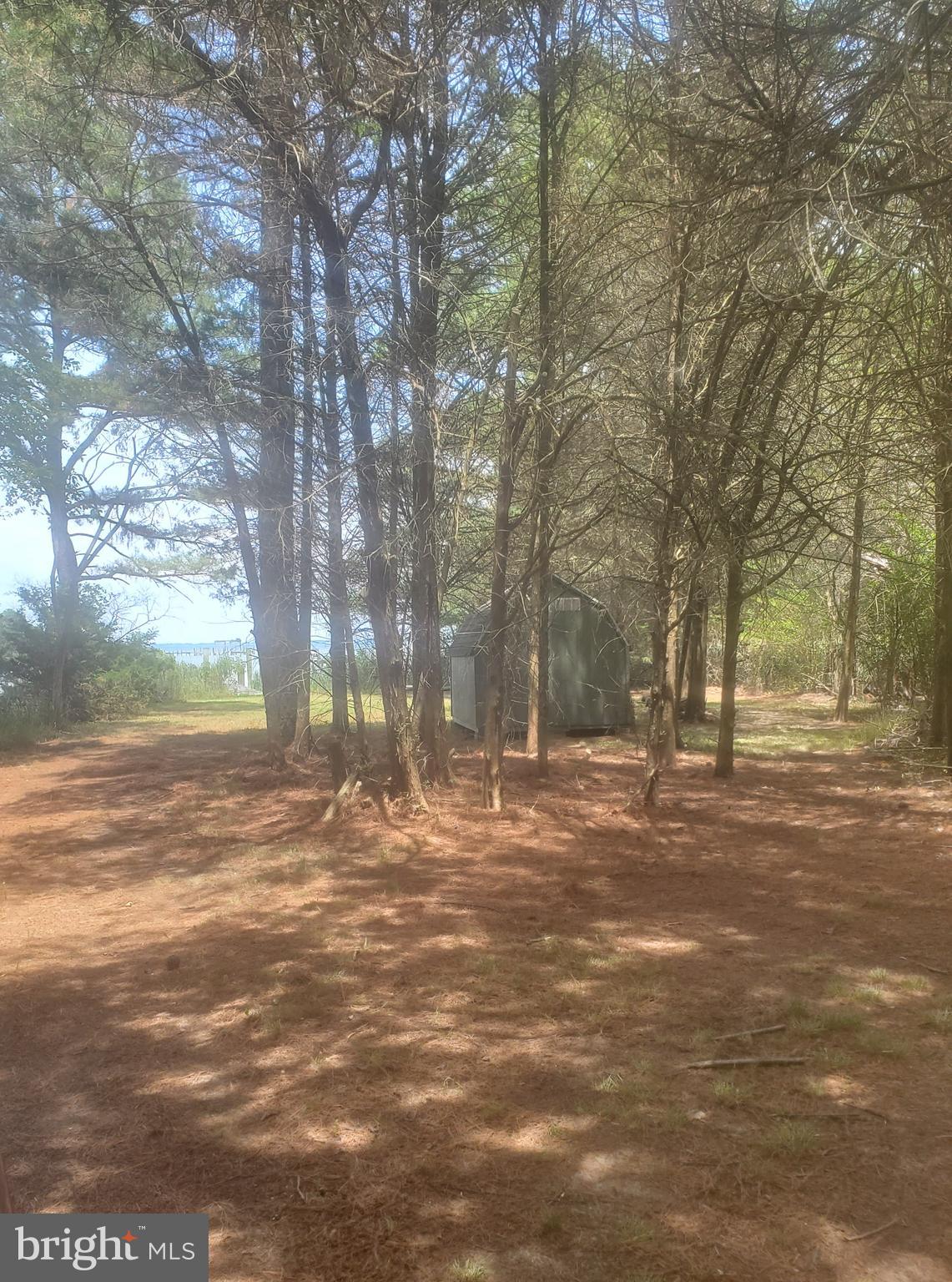 6046 Todds Point Road Cambridge, MD 21613 - Photo 12 of 13
