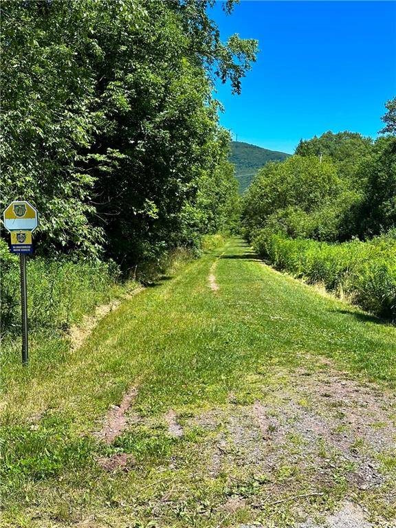 263 Schuman Road Roxbury, NY 12474 - Photo 4 of 13