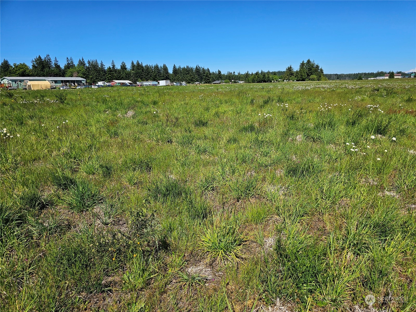 7501 182nd Trail Southwest Rochester, WA 98579 - Photo 4 of 15 a view of yard with ocean view