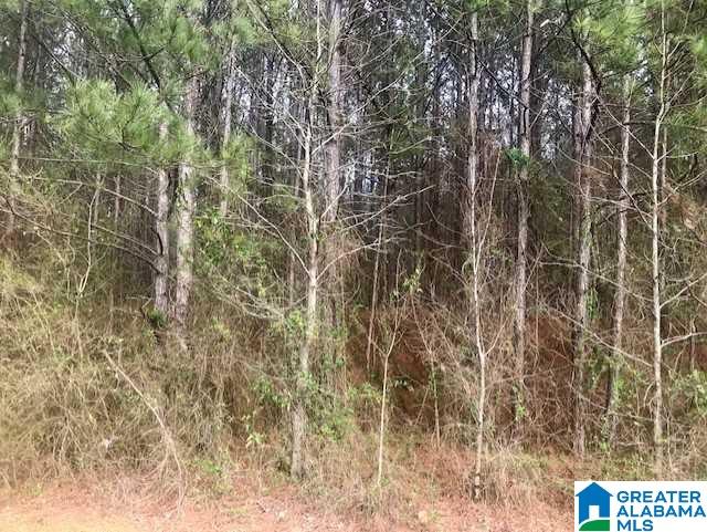 0 Raptor Way, Unit A23 Anniston, AL 36207 - Photo 1 of 1