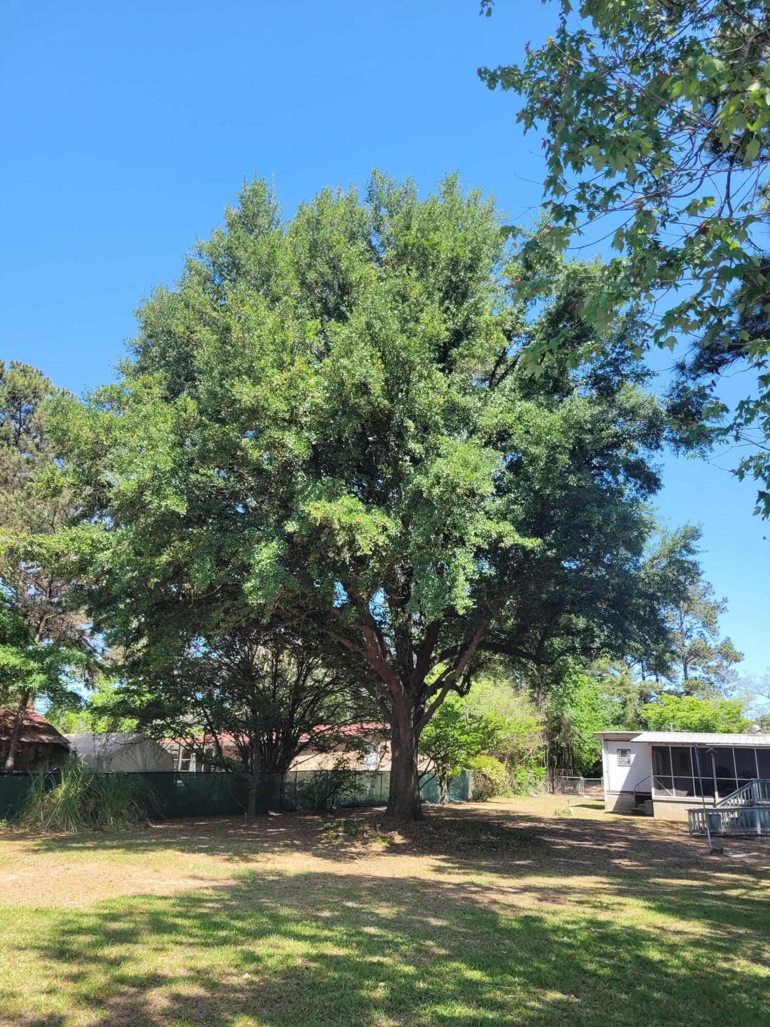 1345 Holland Road Summerton, SC 29148 - Photo 49 of 57