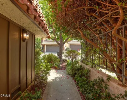 a view of a pathway of a house with a tree