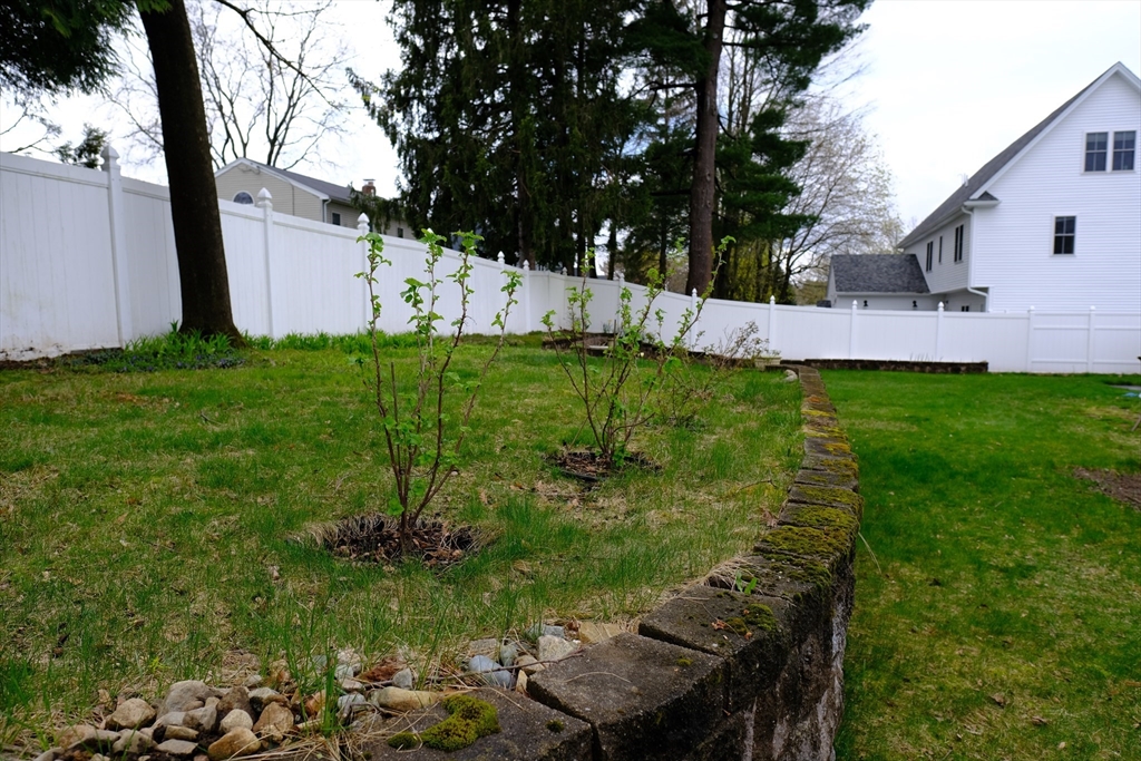 9 Stanley Street Natick, MA 01760 - Photo 12 of 42 a view of backyard with garden