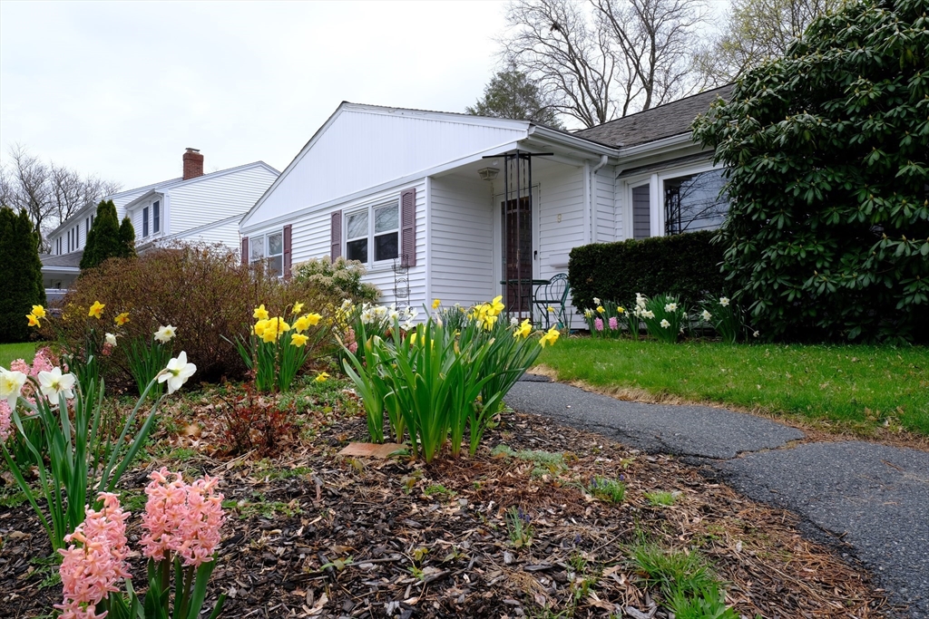 9 Stanley Street Natick, MA 01760 - Photo 3 of 42 a front view of a house with a garden