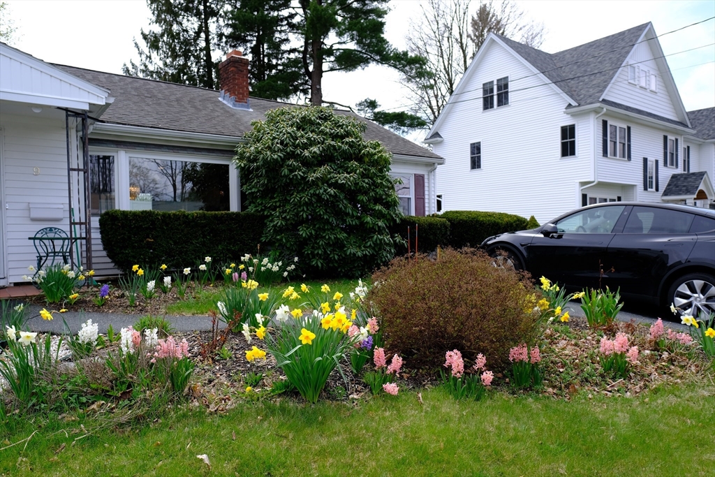 9 Stanley Street Natick, MA 01760 - Photo 4 of 42 a view of a house with a yard and garden