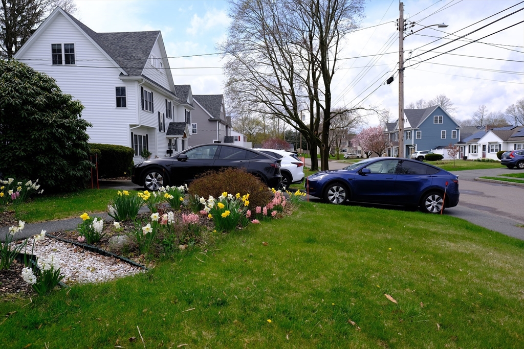 9 Stanley Street Natick, MA 01760 - Photo 5 of 42 a front view of a house with a garden and trees