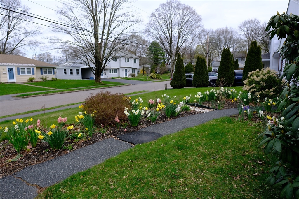 9 Stanley Street Natick, MA 01760 - Photo 6 of 42 a view of street with large trees