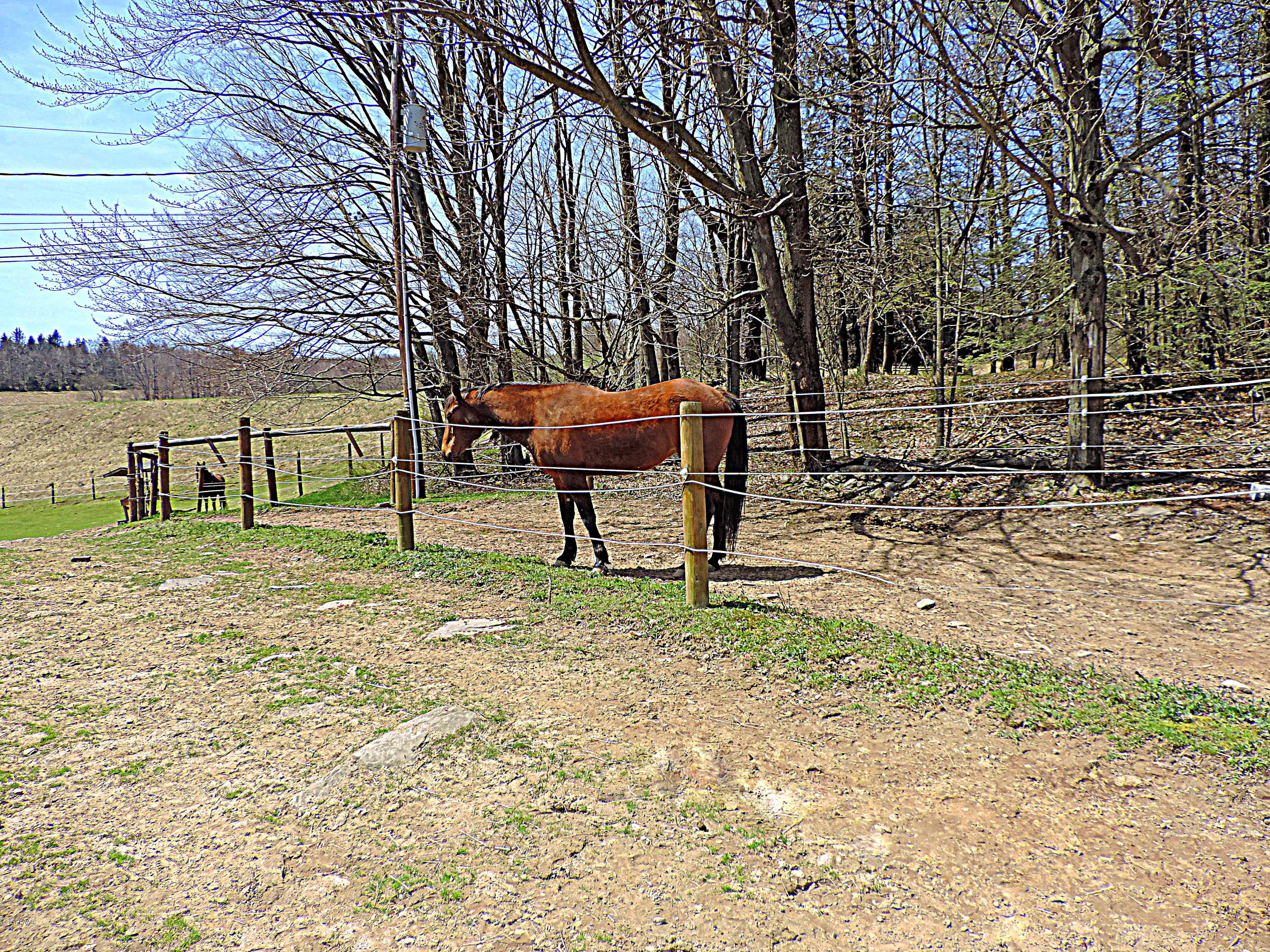 441 Huckleberry Road Newfoundland, PA 18445 - Photo 30 of 58