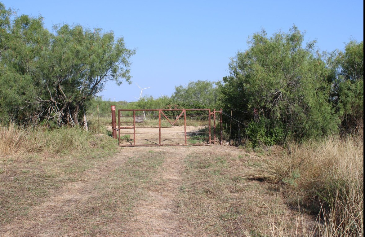 0 North Loma Blanca Rd Roads Rio Grande City, TX 78582 - Photo 1 of 1 a view of outdoor space with trees all around
