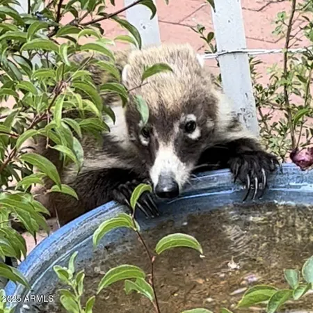 $799,000 | 44 East Ramsey Canyon Road, Hereford, AZ 85615