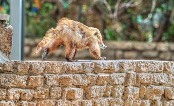 $799,000 | 44 East Ramsey Canyon Road, Hereford, AZ 85615