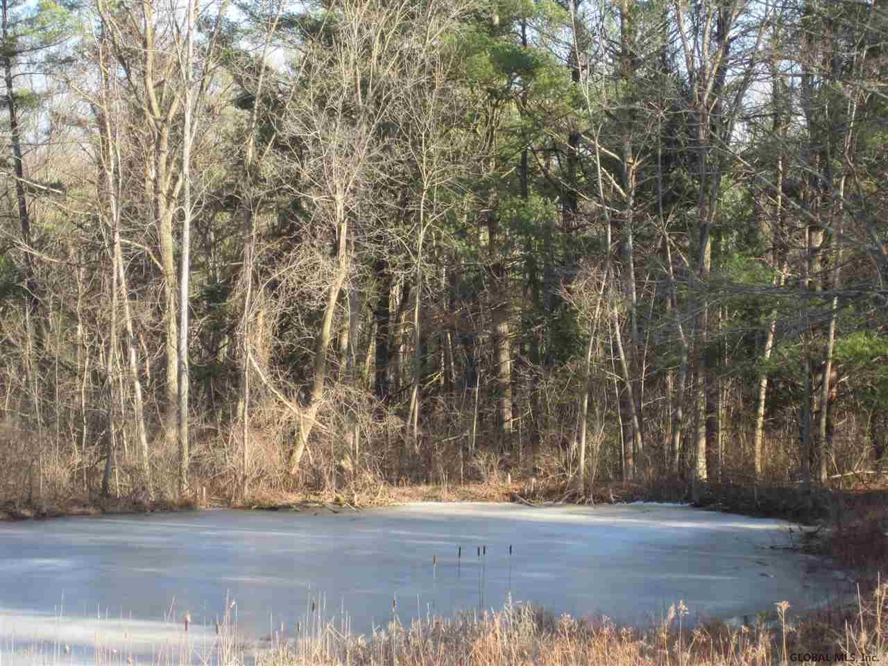 185 Rock Road Knox, NY 12023 - Photo 22 of 24 Photo 22