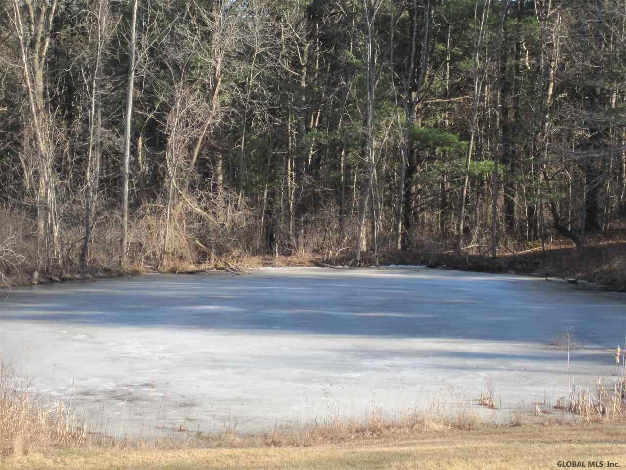 185 Rock Road Knox, NY 12023 - Photo 3 of 24 Photo 3